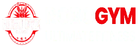 Robo Gym Sandton Official Logo